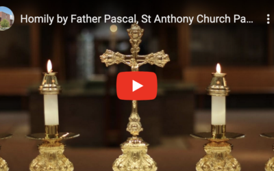 Homily by Father Pascal, St Anthony Church Parish, June, 23, 2024